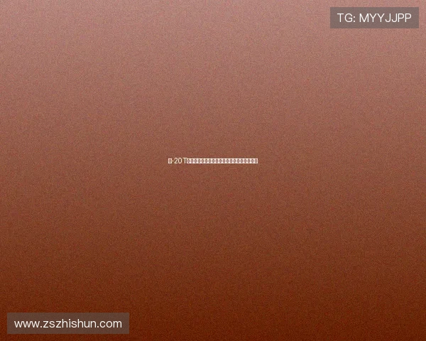 直-20T突击型亮相直博会展示中国直升机新突破实力 直-20T突击型亮相直博会展示中国直升机新突破实力